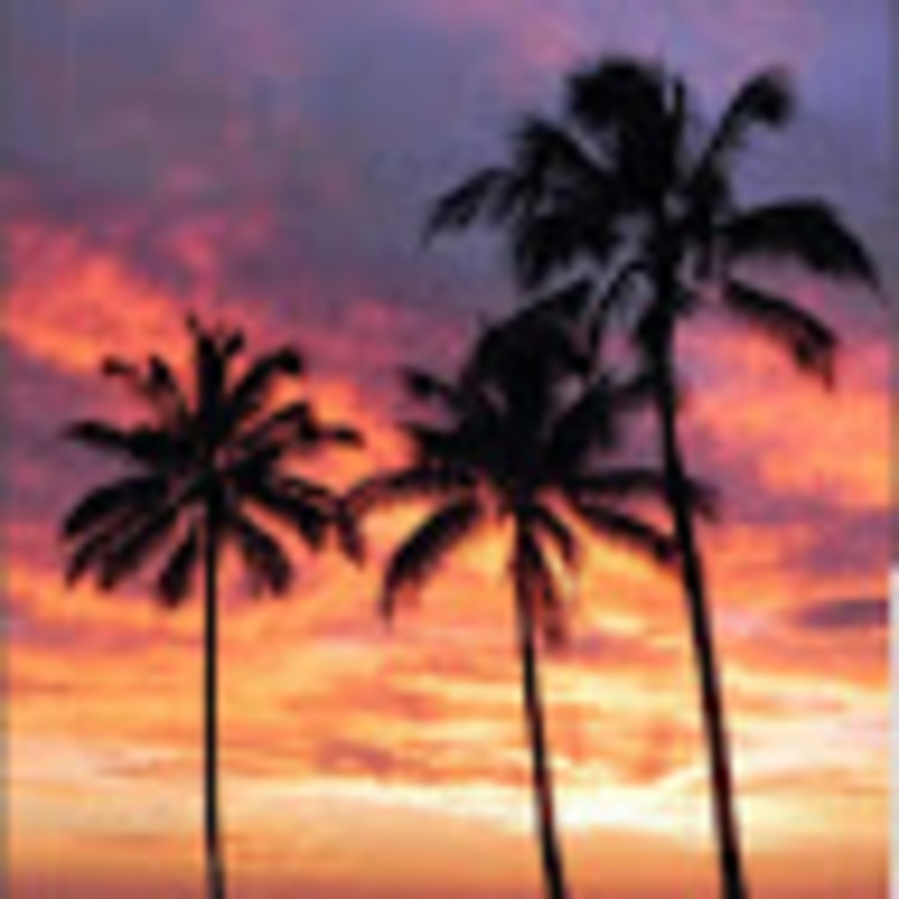 Meet your Posher, L t